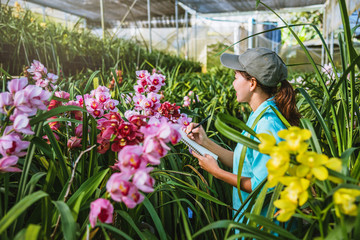 The girl notes the changes, orchid growth in the garden. Beautiful (Orchid) background in nature