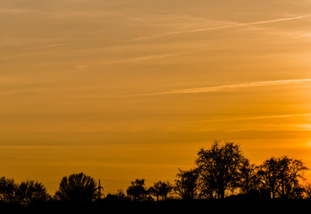 Fototapeta na wymiar Schöner Sonnenuntergang mit Baumschattenbild. Gelb farbige schöne Naturszene des Himmels