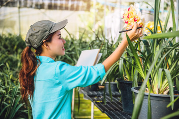 The girl notes the changes, orchid growth in the garden. Beautiful (Orchid) background in nature...