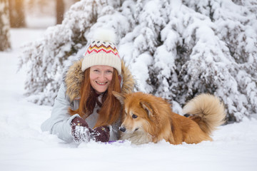 corgi fluffy portrait