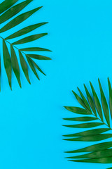 Tropical palm leaves on color paper background