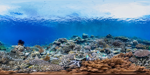 Healthy coral reef in Raja Ampat Indonesia panorama © The Ocean Agency