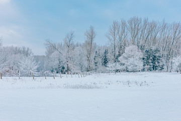 winter scenic snow-covered rural field