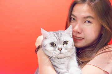 Young woman with a scottish fold cat.Face of scottish fold cat