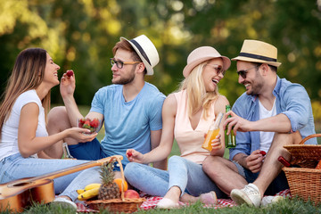 Friends enjoying on picnic
