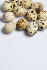 Quail eggs. Lie on a white background.
