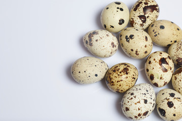 Obraz premium Quail eggs. Lie on a white background.