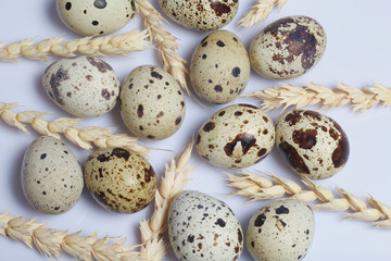 Obraz premium Quail eggs. Next spikelets. Lie on a white background.