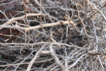 achitecture and nature and night life