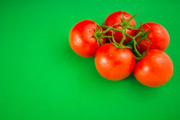 fresh red tomatoes on green background
