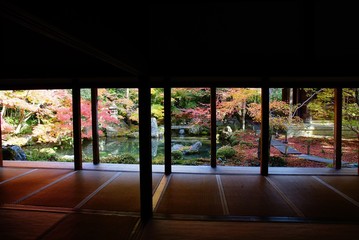 Fototapeta na wymiar 京都蓮華寺の紅葉