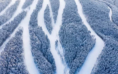 Wall murals Aerial photo Aerial view at the slope on ski resort. Forest and ski slope from air. Winter landscape from a drone. Snowy landscape on the ski resort. Aerial photography