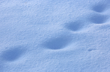 snow surface with footprints