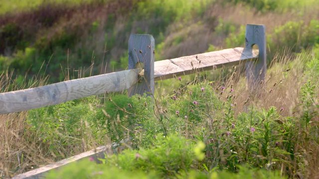 Scenic split rail fence and wildflowers 