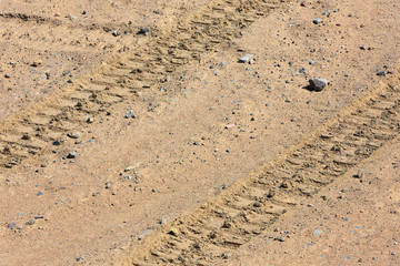 Traces of tire treads on a dry soil surface.