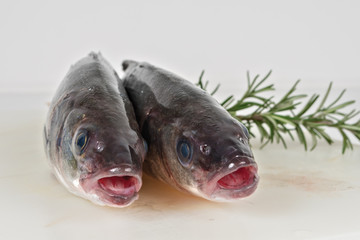 branzini su tagliere sintetico bianco