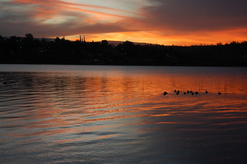 lago