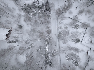 Winter in St. Petersburg, a snow-covered landscape