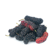 branch of ripe Mulberry (Morus nigra) in brown bowl isolated on white background. concept healthy...
