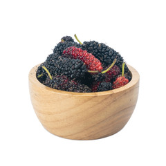 branch of ripe Mulberry (Morus nigra) in brown bowl isolated on white background. concept healthy mulberry fruit food