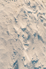 Snow Texture