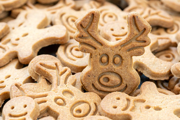 Christmas gingerbread deer cookie
