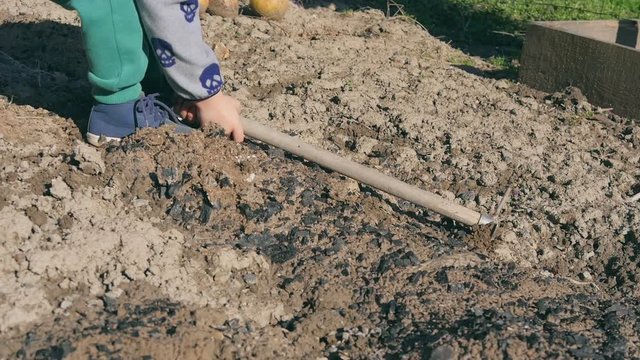 Small baby boy playing with hoe in garden earth. Child learning how to use garden tools while playing in home garden.