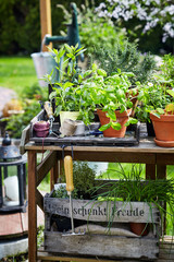 Rustic wooden garden table with potted plants
