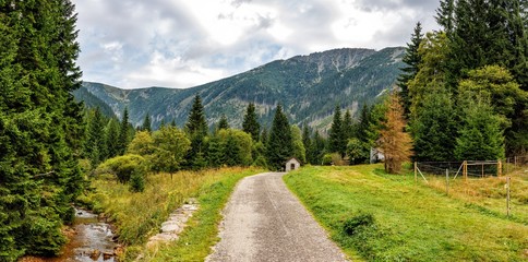 Route to the mountains through the forest. Tourism in Europe. Beautiful panoramic view of the mountain valley and forest. Hiking.