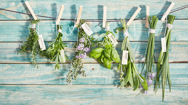 Different named fresh herbs hanging on a line