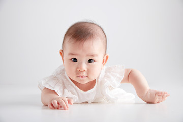 Asian cute baby, shot in studio white background