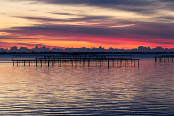 Natural Park of Po Delta in Italy
