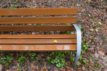 wet wooden bench closeup