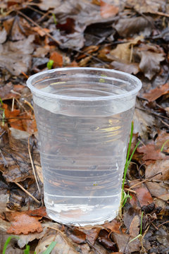 plastic cup on autumn leaves