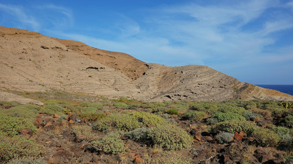 Common endemic flora such as Psammophytes, Euphorbias and other spurges covering the base of Montana Pelada, a volcanic cone formed out of fossilized sand dunes, in Tenerife, Canary Islands, Spain