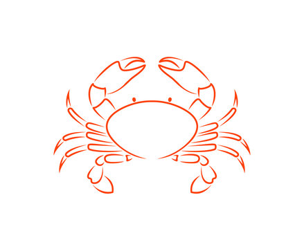 Crab outline. Isolated crab on white background