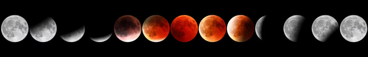 Foto op Canvas Banner astronomical background. Full red moon phases by night. The total phases of the lunar eclipse. Wide panorama. © bennymarty