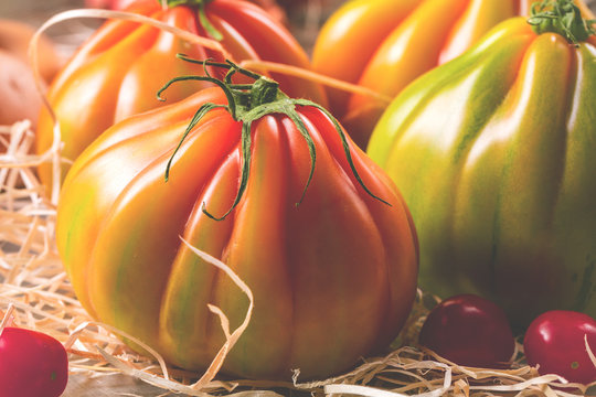 Frische saftige bio Fleischtomaten
