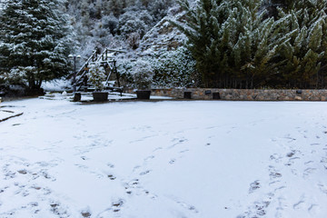 Outdoor nature park covered by snow on a winter landscape