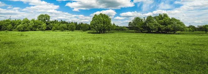 Papier Peint photo Nature green field with trees and blue sky with clouds Sunny day, beautiful rural landscape, panoramic banner