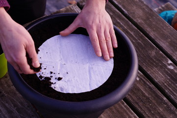 Seed mat in a pot