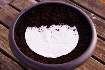 Seed mat in a pot