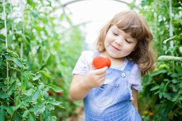 Little girl in the greenhouse with tomato plants