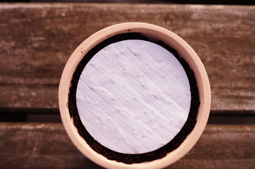 Seed mat in a pot