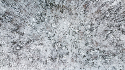 Top down aerial view over the tops of frosty forest.