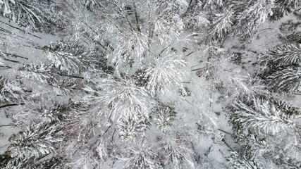 Top down aerial view over the tops of frosty forest.