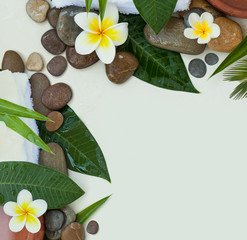 Spa background with green leaves, white flowers and dark stones on white background