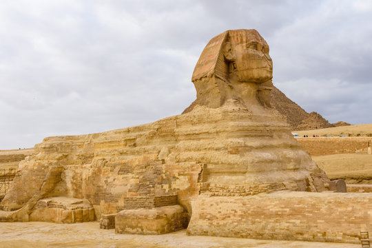 The great Sphinx in Giza plateau. Cairo, Egypt
