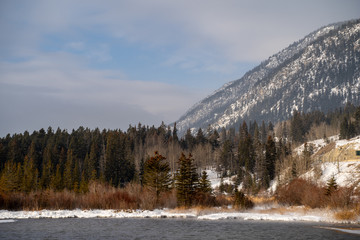 Frozen winter scene at Vermillion Lakes parkway in Banff National Park, with snow covered grasses, open hot springs water, and rocks ice and rocks