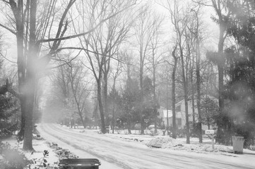 countryside street in the snow storm